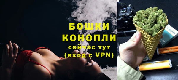 дмт Новозыбков
