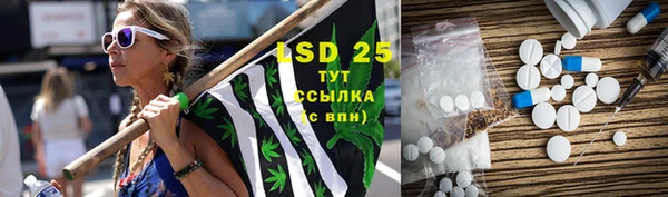 дмт Новозыбков