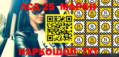 мяу мяу мука Будённовск