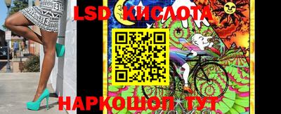 винт Будённовск