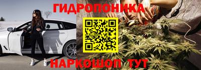 мяу мяу мука Будённовск