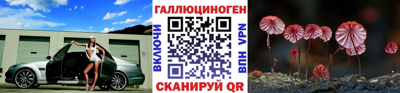 гидра ссылка  Волжский  это клад  Галлюциногенные грибы Psilocybine cubensis 
