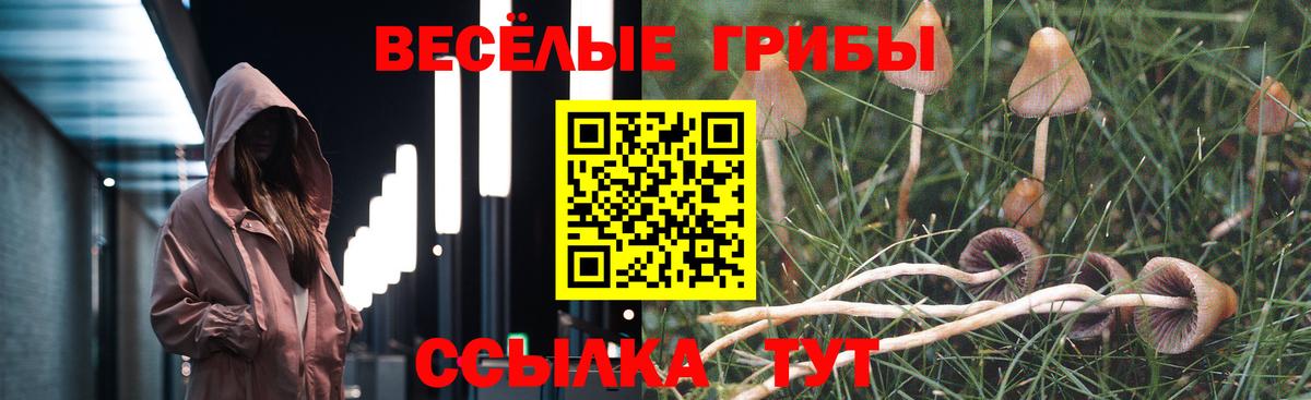 Волжский  Галлюциногенные грибы прущие грибы  Галлюциногенные грибы прущие грибы  Вход с VPN 