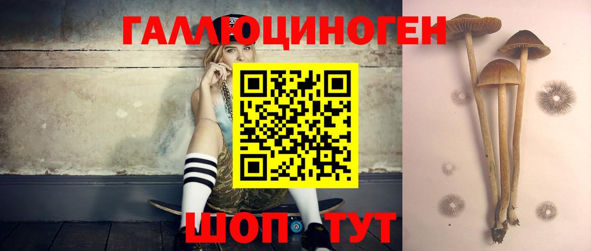 Псилоцибиновые грибы мицелий  Волжский 