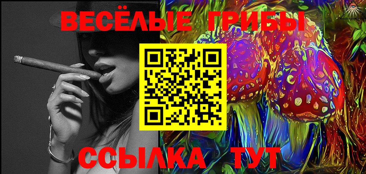 Галлюциногенные грибы Cubensis Волжский