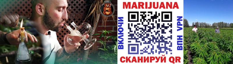 купить   Волжский  Бошки марихуана White Widow 